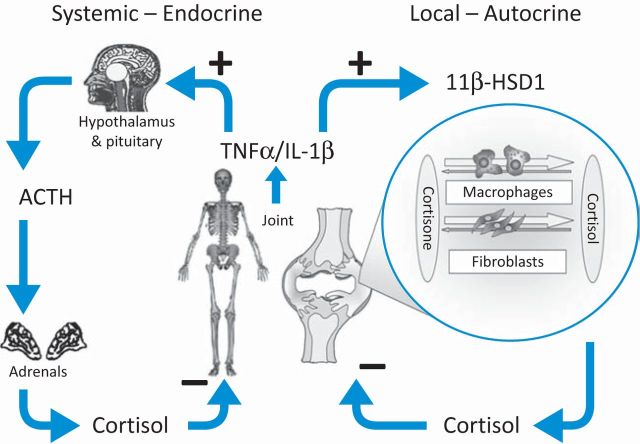 Fig 4.