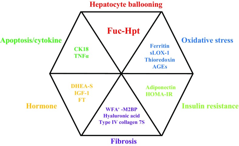 Fig. 1