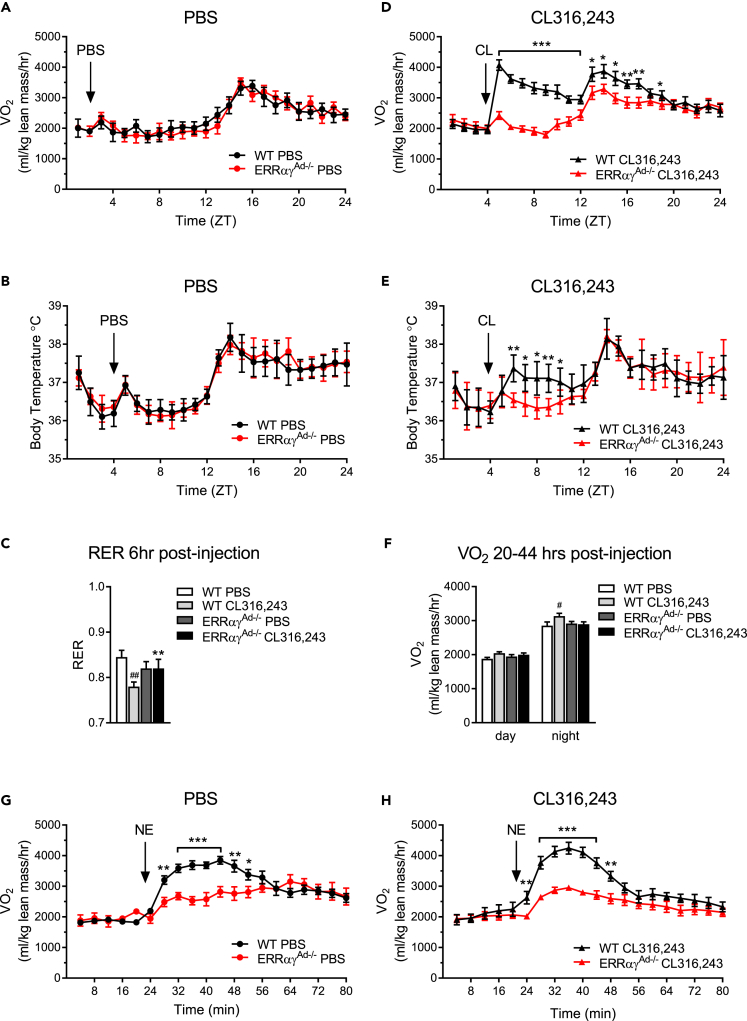 Figure 6