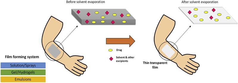 Unlabelled image