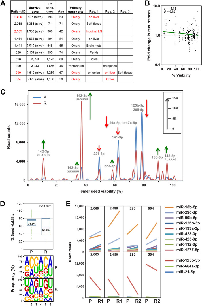 Figure 6. The RISC in recurrent ovarian cancer tumors in a group of long-term survivors is enriched in miRNAs with toxic 6mer seeds compared with the primary cancer. A, List of 10 long-term survivor ovarian cancer patients with sites of recurrences given. Patient pairs of a subgroup of four highly related primary and recurrent tumor pairs are shown in red (see Supplementary Fig. S9F). Survival days are as of December 22, 2020. B, Pearson correlation between the fold change in recurrences versus primary tumors and the 6mer seed tox (% viability in HeyA8 cells). Shown are miRNAs with a sum of >10,000 across all samples (representing 81.4% of all reads). miRNA content of this pull down was 97.2% to 98.4%. C, Seed tox graph of RISC-bound miRNAs differentially expressed (paired analysis, P < 0.05, >1.5× fold change) in recurrences versus matched primary tumors in the subgroup of four patients. Note, miR-15b-5p was not detected in this analysis, which used the EdgeR software package to obtain paired P values and it had a P value of 0.057. Green arrows, net increase, and red arrows, net decrease of >1,000 reads in peak in recurrent tumors, respectively. D, Top, average seed tox of all sRNAs enriched in either primary tumor (P) or recurrences (R). Bottom, matching seed compositions. E, Changes in RISC-bound miRNA read numbers in recurrences versus primary tumors in the subgroup of patients. Shown are all miRNAs that are significantly up- (top) or downregulated (bottom; paired Student t test P < 0.05, >1.5× fold) in all four patients in the same direction.