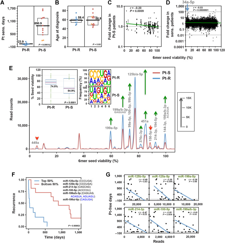 Figure 5. Lower seed tox of RISC-bound sRNAs in ovarian cancer tumors is associated with increased resistance to chemotherapy. A, Pt-sensitive days (days between the end of the last cycle of Pt-based chemotherapy and first relapse) in two groups of patients with ovarian cancer: Pt-R and Pt-S. Orange dots indicate two patients with intermediate (180 to 365 days since last treatment) Pt sensitivity. B, Differences in age at diagnosis between the two groups in Fig. 5A. Kruskal–Wallis median test P values are shown. C, Pearson correlation between the fold change in Pt-S versus Pt-R patients and the 6mer seed tox (% viability in HeyA8 cells). Shown are miRNAs with a sum of >10,000 across all samples (representing 85.4% of all reads). miRNA content of this pull down was 97.4% to 98.1%. D, Pearson correlation between the fold change in Pt-S versus Pt-R patients and the 6mer seed tox (% viability in HeyA8 cells). Shown are all approximately 38,000 different reads across all samples. The position of a number of reads representing miR-34a-5p highly enriched in the Pt-S cells is indicated. Note, these reads while highly upregulated, did not reach statistical significance in the fold-change analyses. E, Seed tox graph of RISC-bound miRNAs differentially expressed (P < 0.05, >1.5x fold change) in Pt-S versus Pt-R patients. Green arrows, net increase, and red arrows, net decrease of >1,000 reads in peak in Pt-R tumors, respectively. Insets, left, average seed tox of all sRNAs enriched in either Pt-R or Pt-S patients. Right, matching seed compositions. F, Kaplan–Meier analysis of patients with the top and bottom highest RISC content of the average of the six miRNAs shown (including their 6mer seeds). Noncanonical seeds are in blue. G, Regression analysis of the six miRNAs in D plotted against the number of Pt-S days.