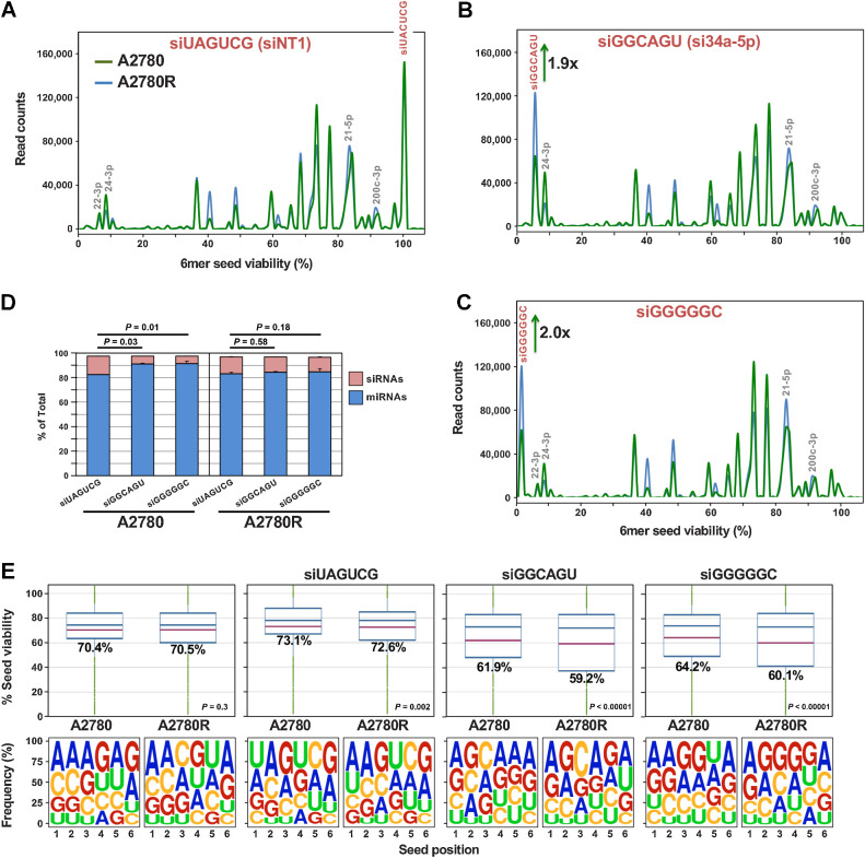 Figure 4. Platinum-resistant A2780R cells have more toxic miRNAs in their RISC than sensitive A2780 cells. A–C, Seed tox graph of RISC-bound miRNAs and exogenous siRNAs in A2780/A2780R cells 24 hours after transfection with either the nontoxic siUAGUCG (siNT1), or the highly toxic siGGCAGU, or siGGGGGC. D, Percent miRNAs and exogenous siRNAs in the RISC of the siRNA-transfected cells. Student test P values are shown on the change in percent of transfected siRNAs. E, Average seed tox (top) and seed composition (bottom) of all RISC-bound sRNAs in A2780/A2780R cells PBS treated or treated with the three siRNAs. P values were calculated using a Wilcoxon rank test. The fraction of exogenous siRNAs and endogenous miRNAs was approximately 97% in all samples.