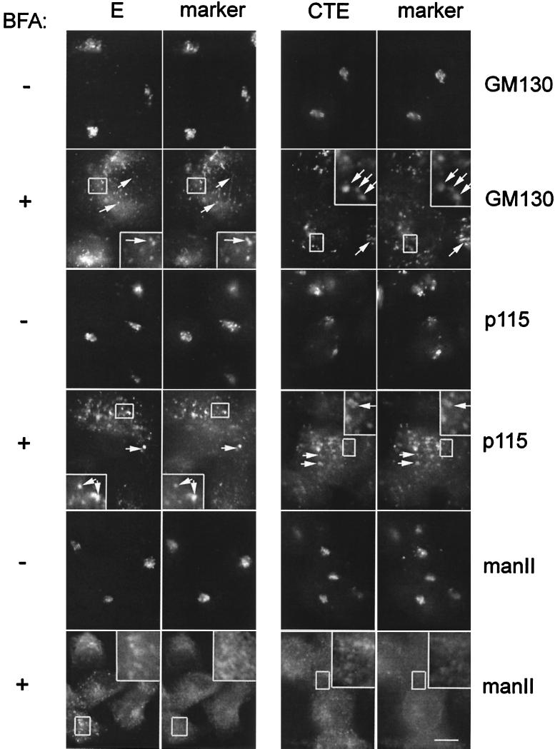 FIG. 8.