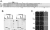 FIG. 5.