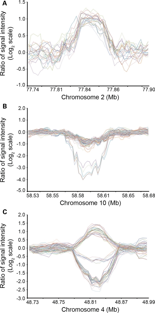 Figure 2.