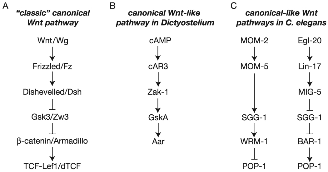 Fig. 1.3