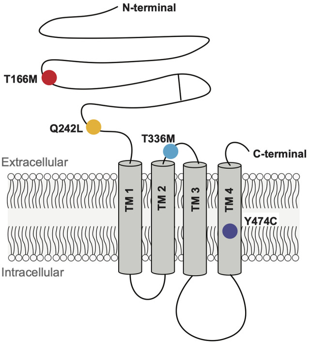 Figure 2