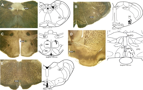 Fig. 8.