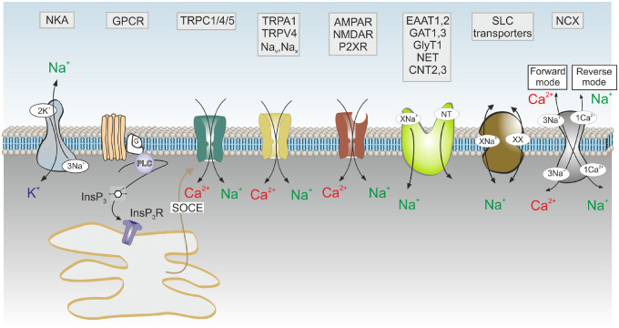 Figure 3.