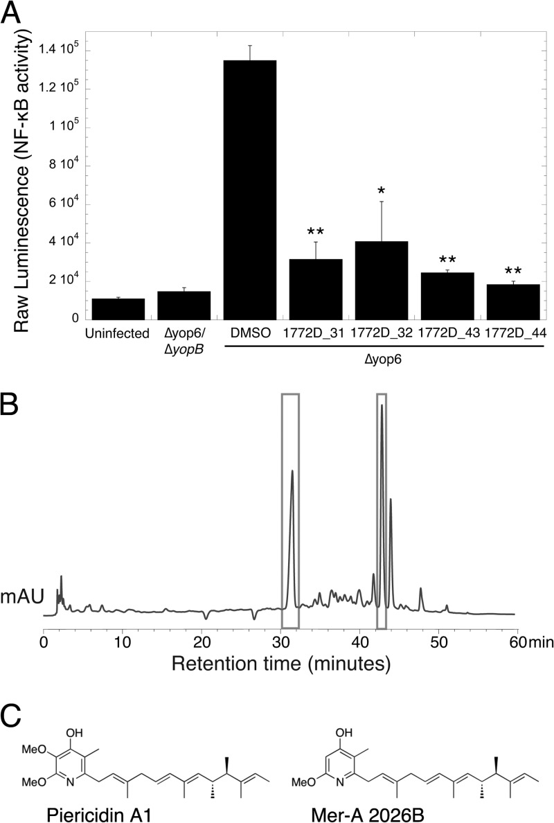 FIG 3