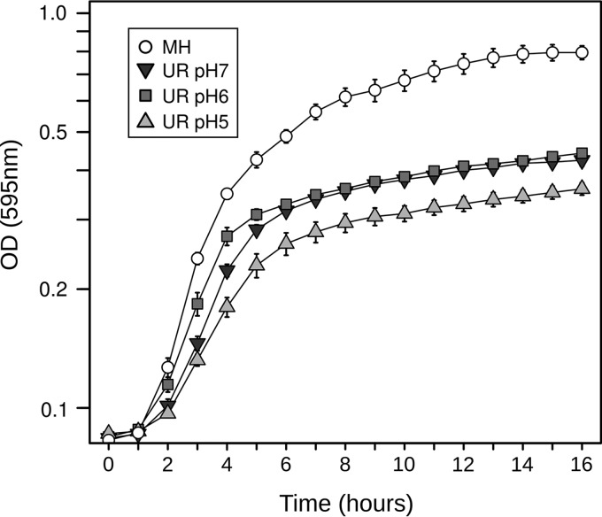 FIG 2