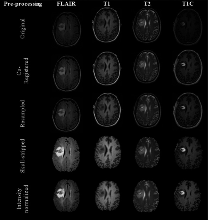 Figure 2