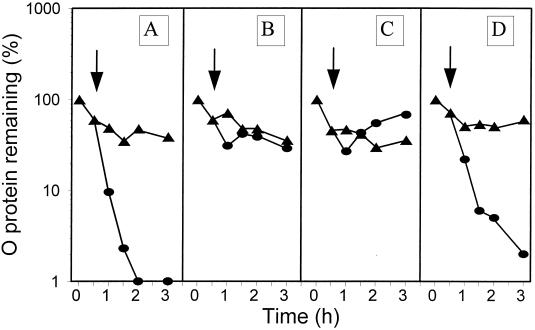 FIG. 5