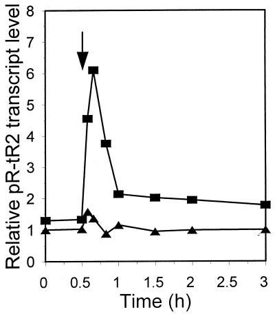 FIG. 10