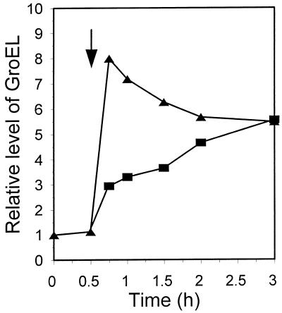 FIG. 8