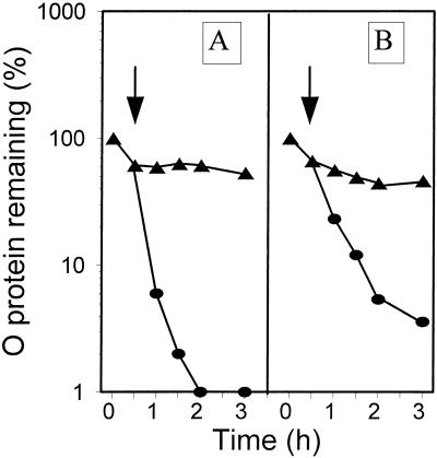 FIG. 9