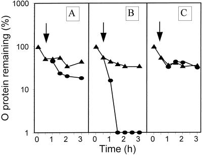 FIG. 7