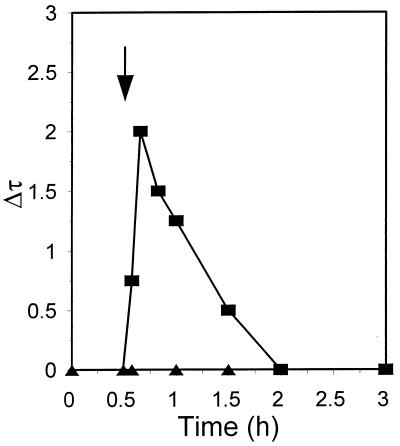 FIG. 6