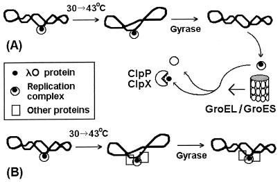 FIG. 12