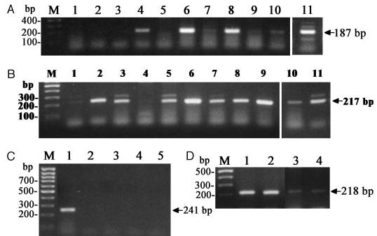 Fig. 9