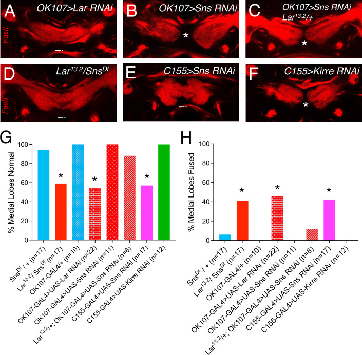 Figure 4—figure supplement 2.