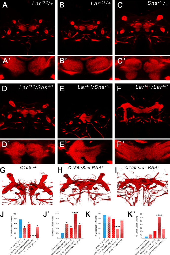 Figure 4—figure supplement 1.