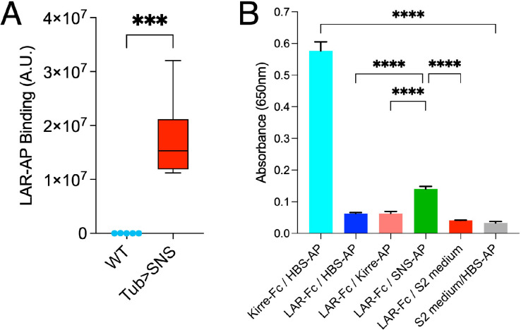 Figure 1—figure supplement 1.