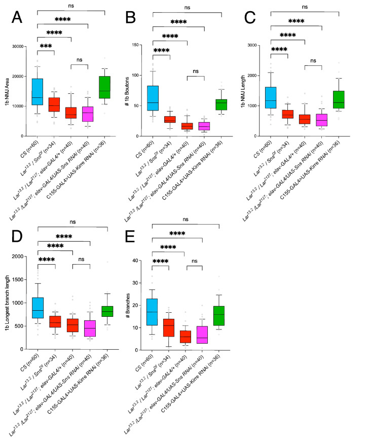 Figure 3—figure supplement 2.