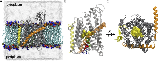 Figure 1.