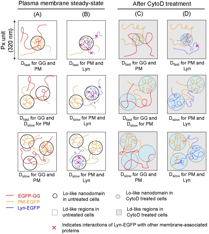 FIGURE 5: