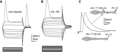 Fig. 3.