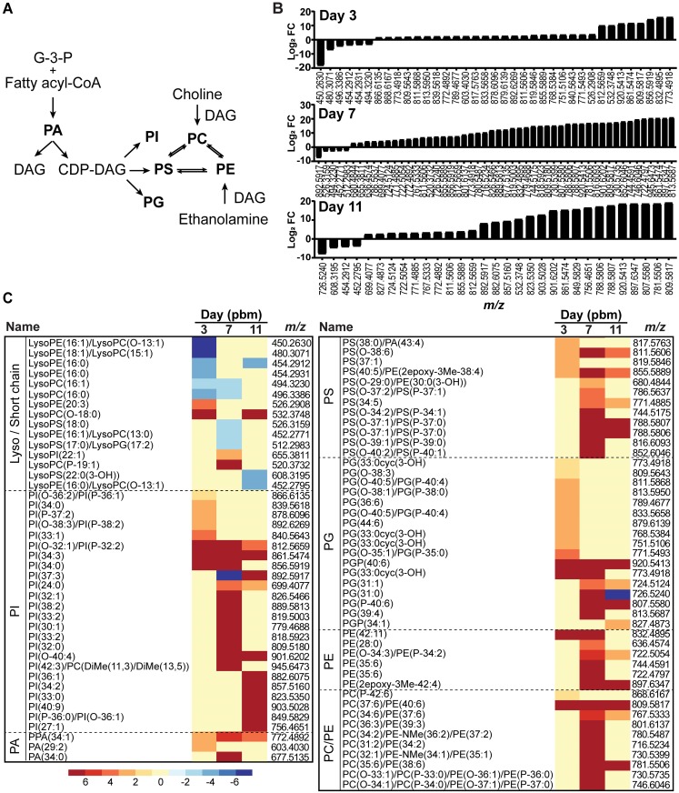 Fig 3