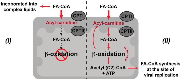 Fig 10