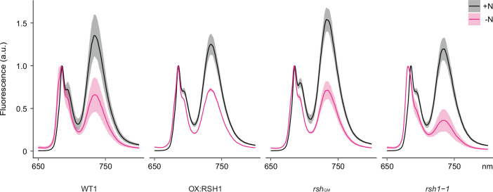 Figure 3—figure supplement 2.