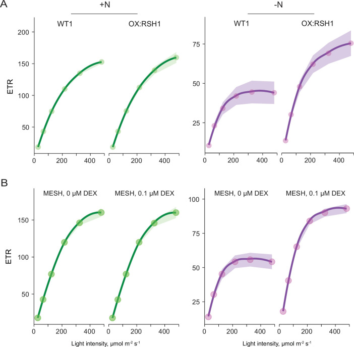 Figure 2—figure supplement 4.