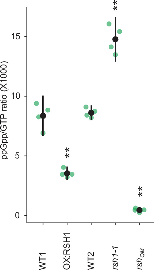 Figure 1—figure supplement 2.