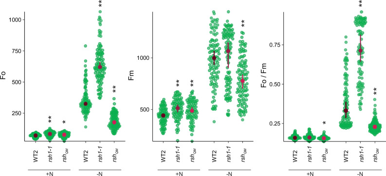 Figure 2—figure supplement 1.