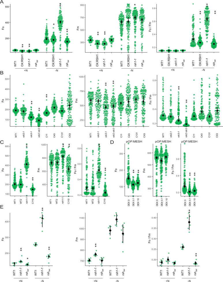 Figure 2—figure supplement 3.