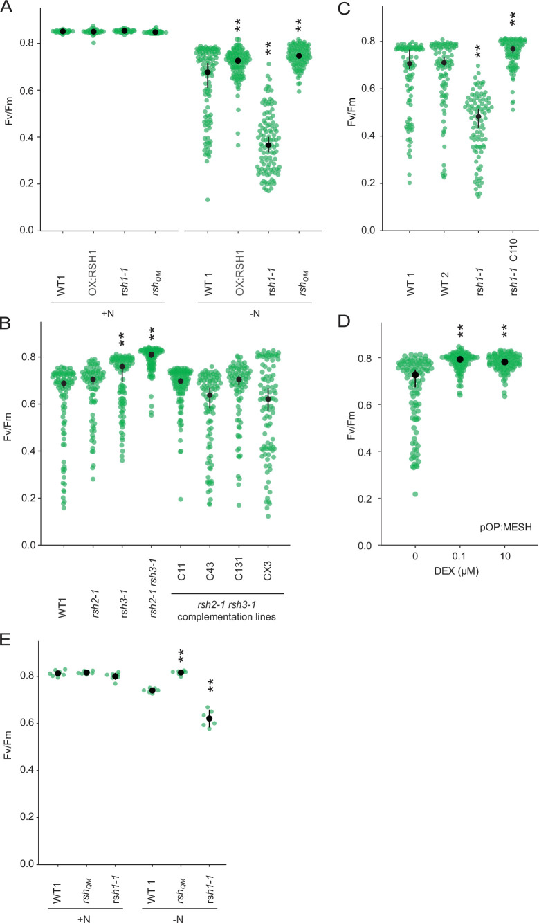 Figure 2—figure supplement 2.