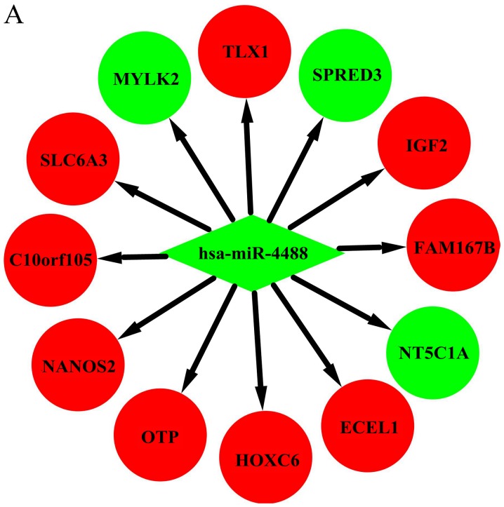 Figure 4.