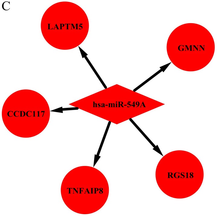 Figure 4.