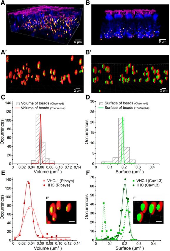 Figure 4.