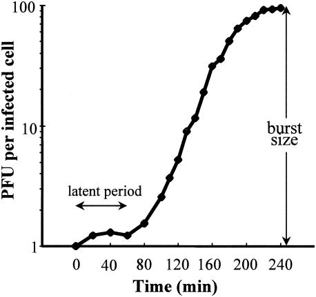 FIG. 2.