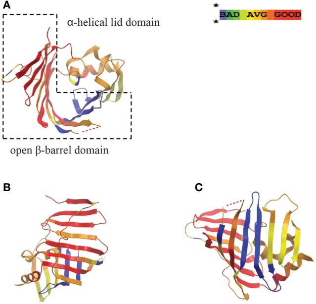 Figure 2