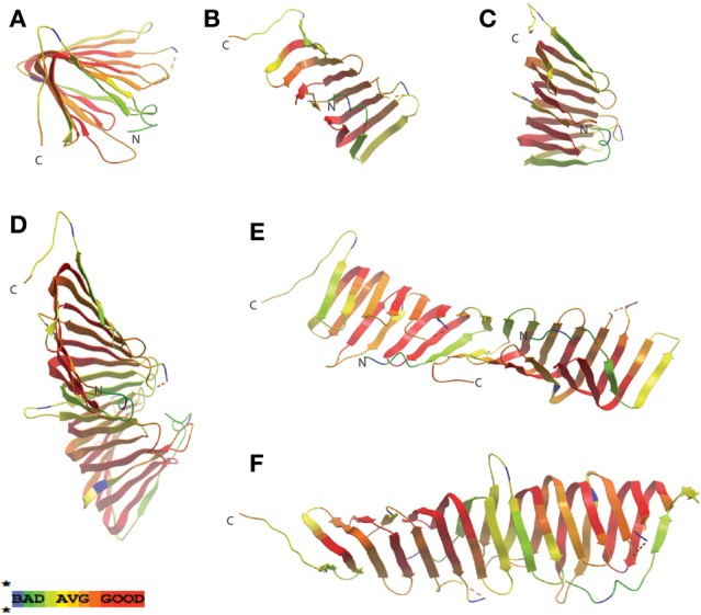 Figure 4