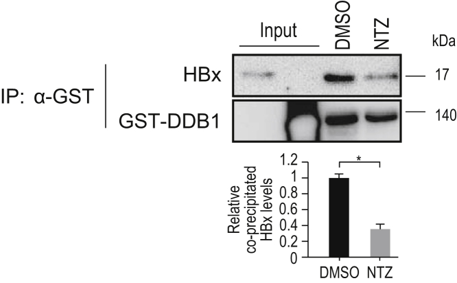 Figure 3