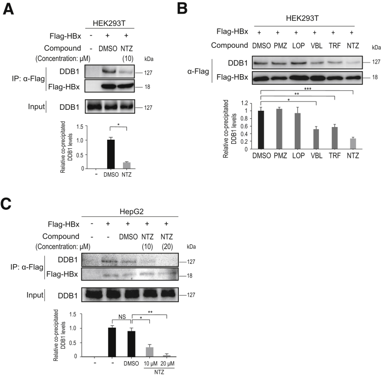 Figure 2