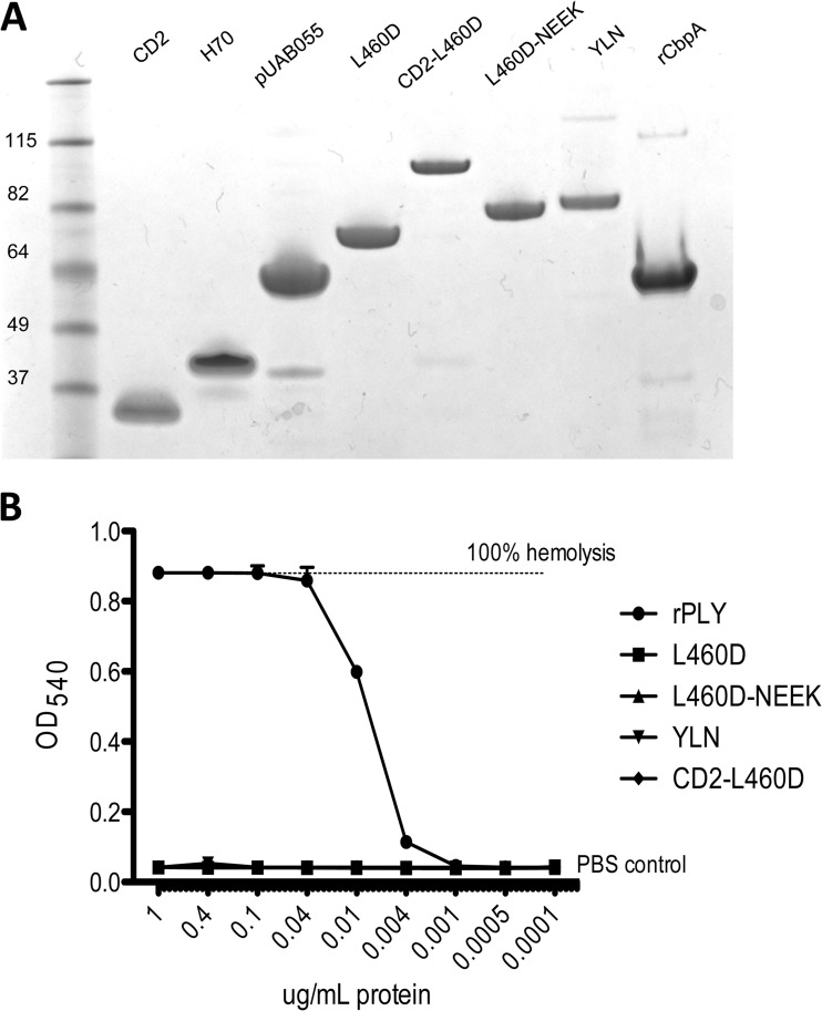 FIG 2