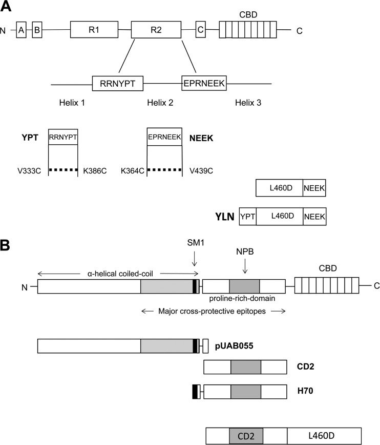 FIG 1